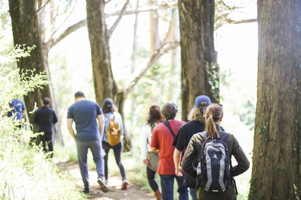 People enjoying an outdoor activity together