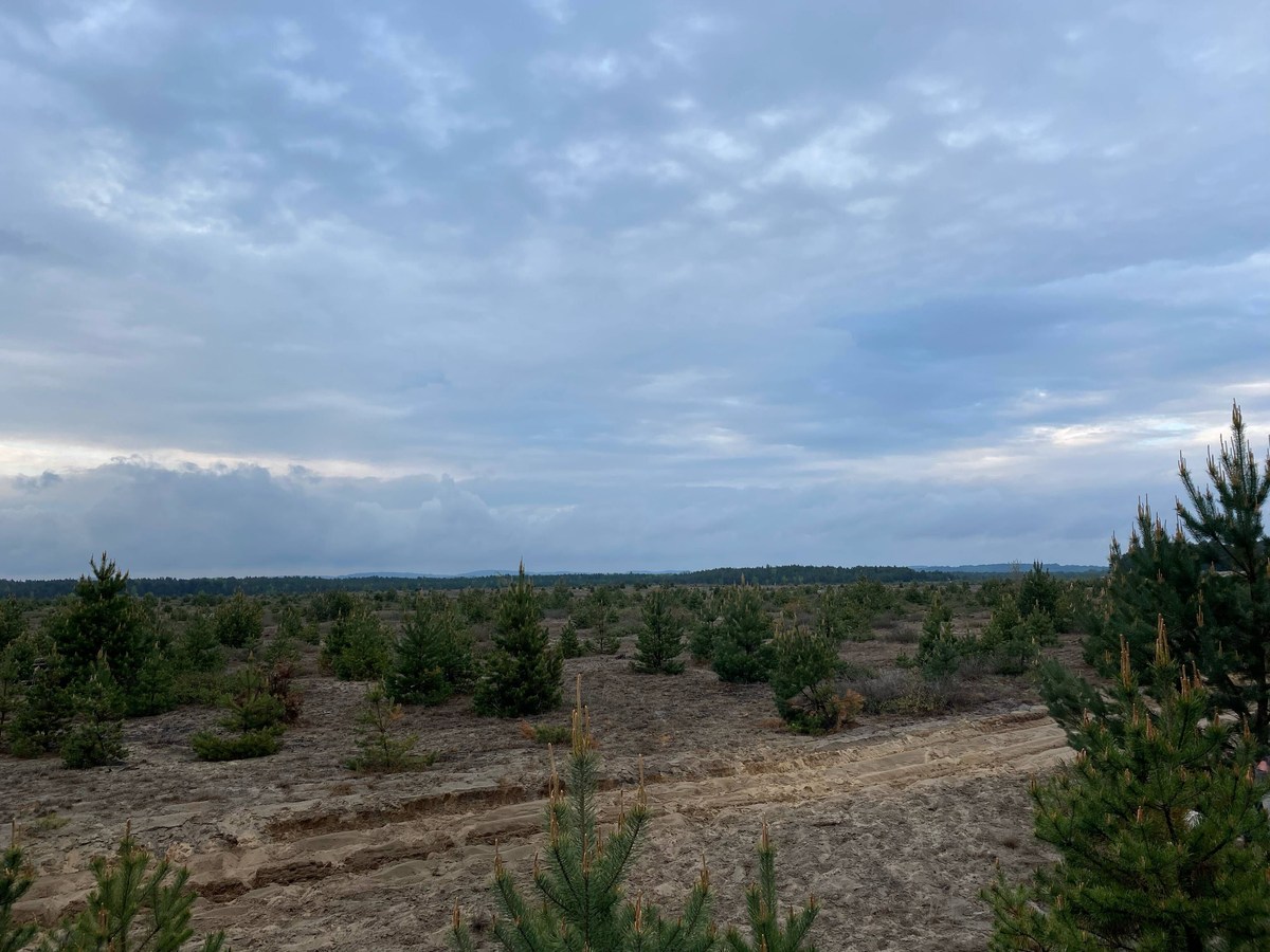 Poland’s Desert Wonderland – Pustynia Błędowska ️