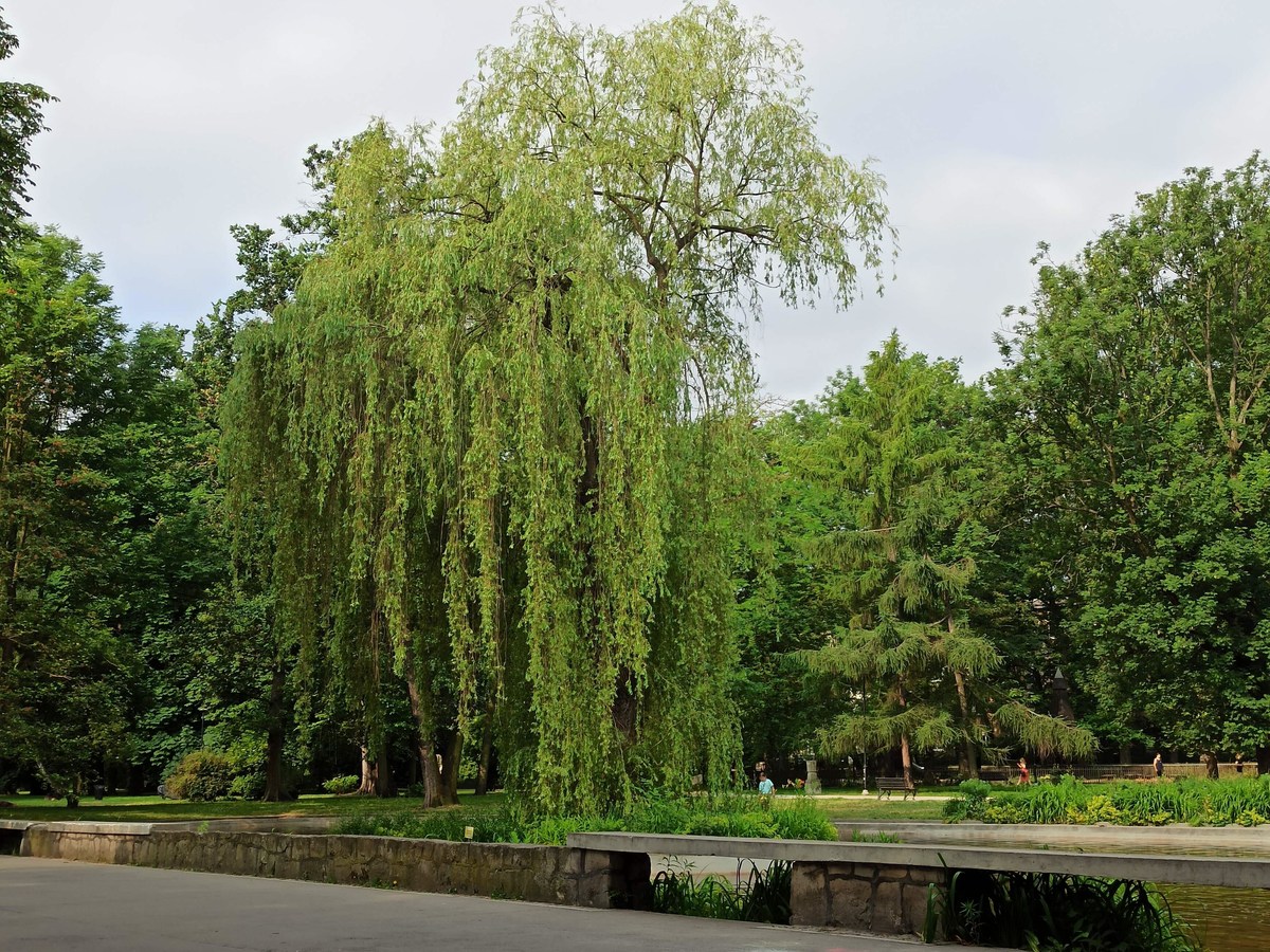 Krakow Park Escape – Charm Meets Chill Vibes