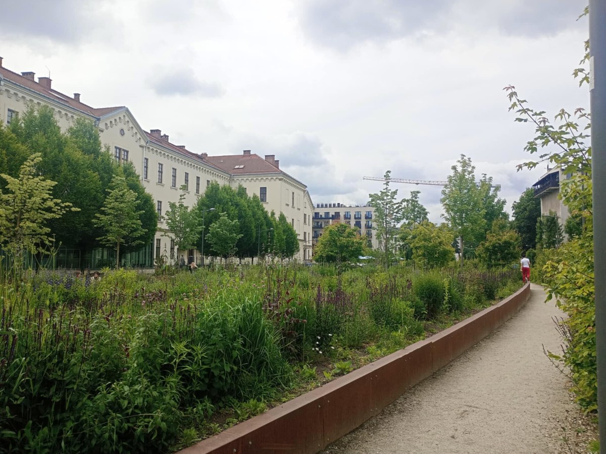 A Tribute to a Poet – Wisława Szymborska Park