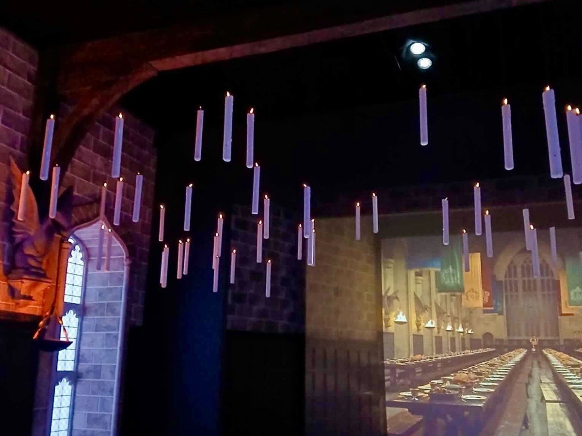 Wizarding Vibes – Harry Potter Feels at Alvernia Planet ‍♀️