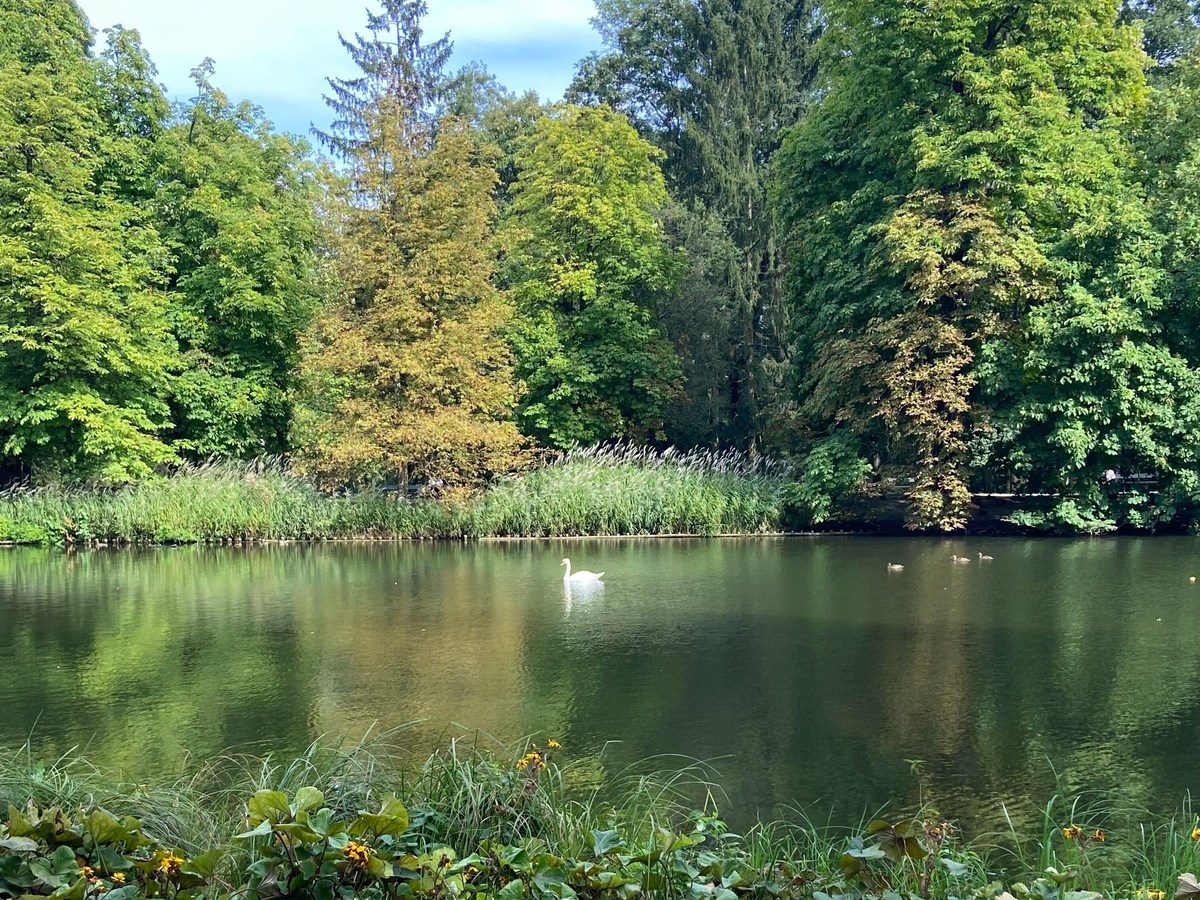 Royal Strolls – Łazienki Park in Warsaw