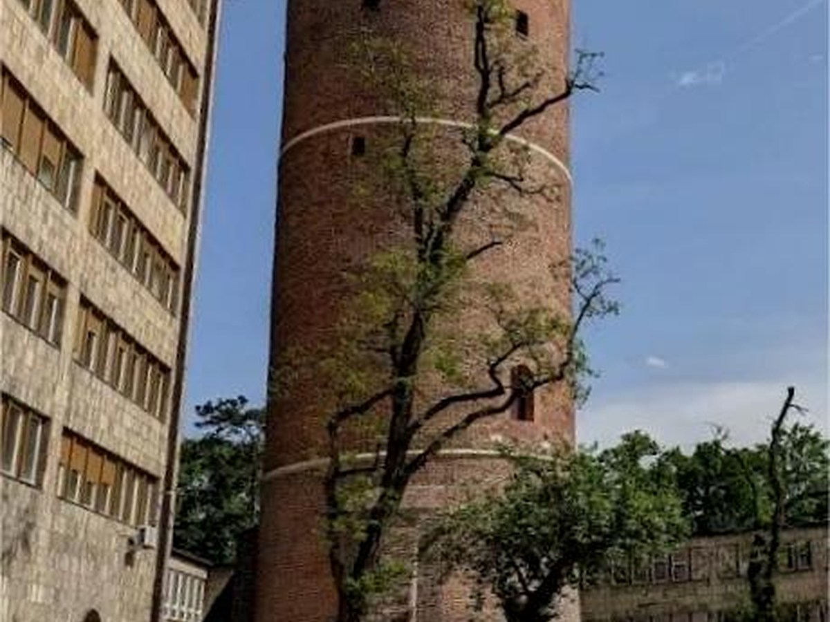 Sky-High in Opole